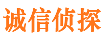 临渭市侦探调查公司